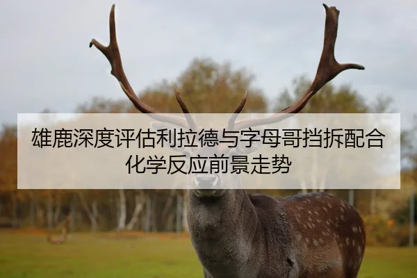 雄鹿深度评估利拉德与字母哥挡拆配合化学反应前景走势